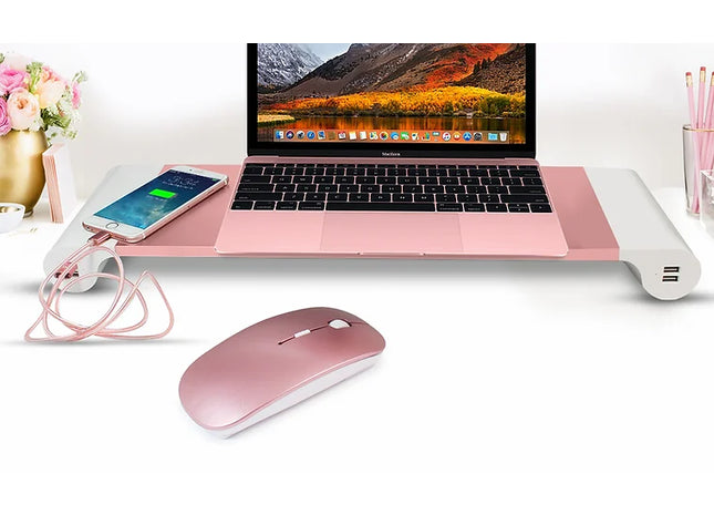 PC Desktop Organiser Aluminium Stand