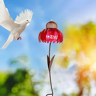 Coneflower Bird Feeder