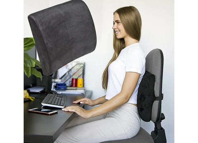 Posture Therapy Lumbar Back Support