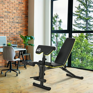 Multi-Functional Sit-Up Dumbbell Weight Bench