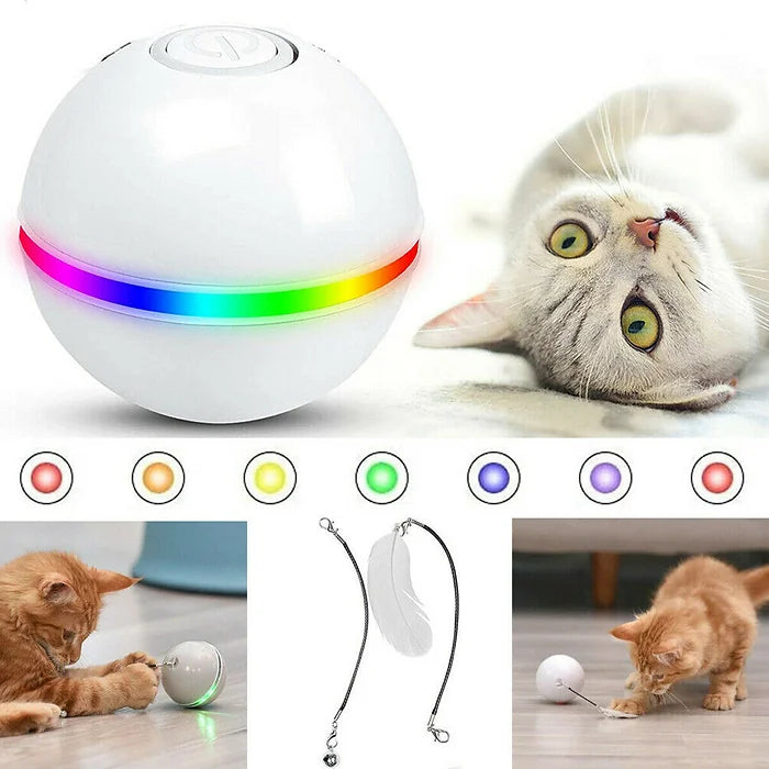 Smart Cat Toy