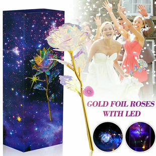 LED Enchanted Eternal 24K Gold Foil Rose