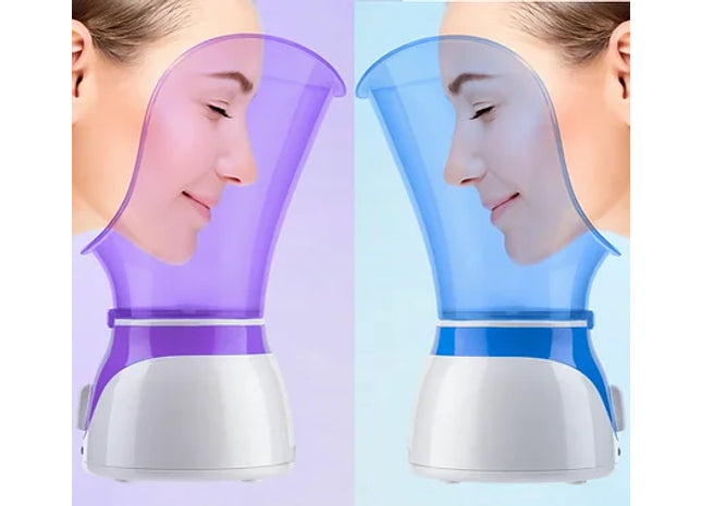 Facial Steamer