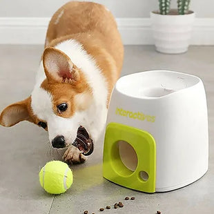 Dog Throwing Machine Plus Treat Dispenser