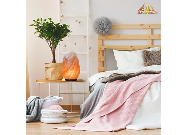 Himalayan Salt Lamp