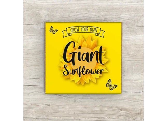 Giant Sunflower Kit