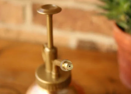 Copper Plated House Plant Spray Atomiser