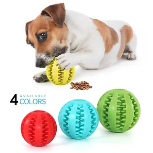 Dog Treat Ball