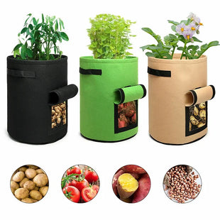 Plant Grow Bags