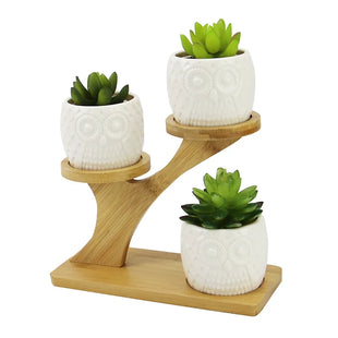 Owl Pots With Stand Ceramic Plant Pot