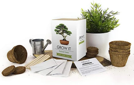 Grow It - Bonsai Tree