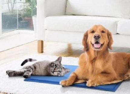 Pet Cooling Mat 30X40CM