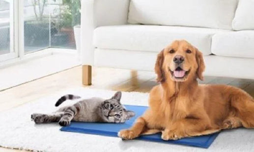 Pet Cooling Mat 30X40CM