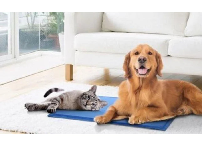 Pet Cooling Mat 30X40CM