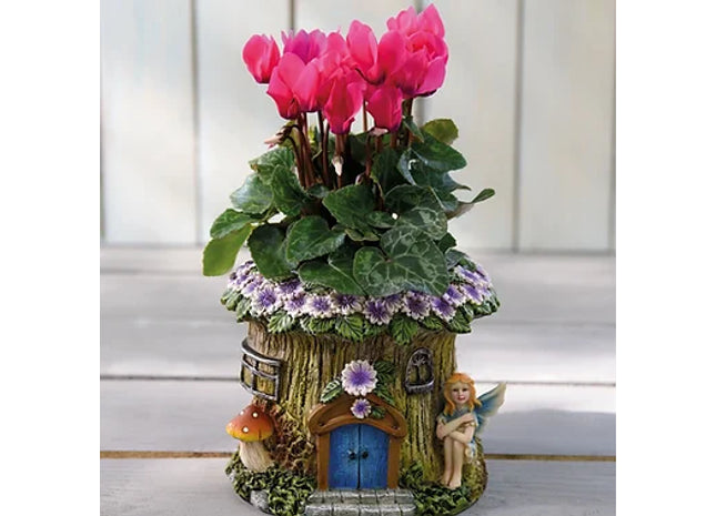 Fairy/Ladybird Woodland Theme Planter 9cm Pot Plant