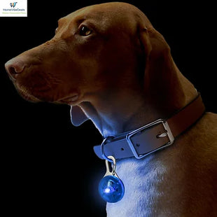 Dog Pet Collar Pendant