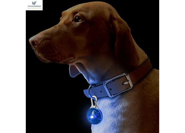 Dog Pet Collar Pendant