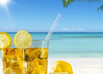 REUSABLE GLASS Drinking Straws with Cleaning BRUSH