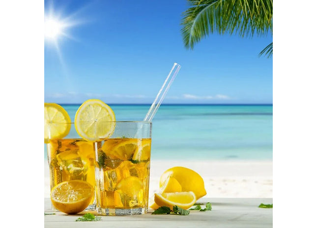 REUSABLE GLASS Drinking Straws with Cleaning BRUSH