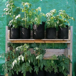 5PCS Potato Grow Bags