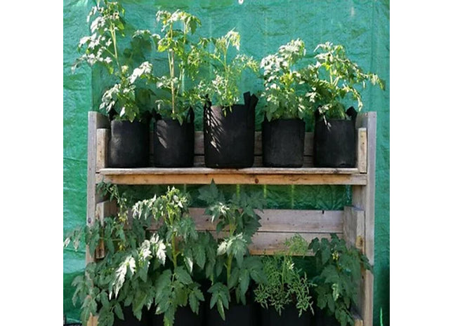 5PCS Potato Grow Bags