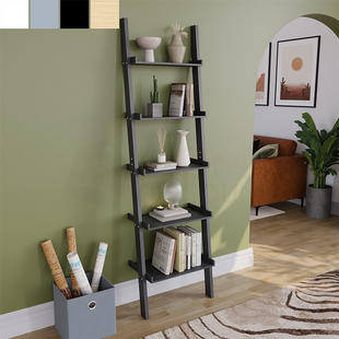 Ladder Shelving Bookcase