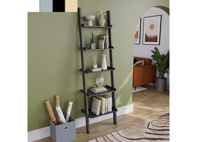 Ladder Shelving Bookcase