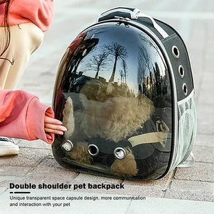 Capsule Cat