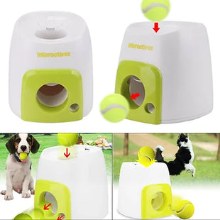 Automatic Fetch & Treat Dog Feeder