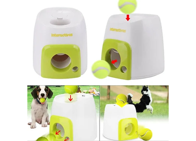 Automatic Fetch & Treat Dog Feeder