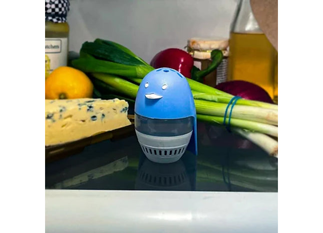 Fridge Odour Absorber