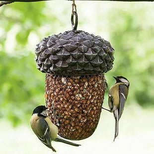 Acorn Bird Feeder