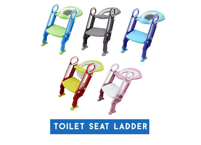 Potty Training Seat & Ladder