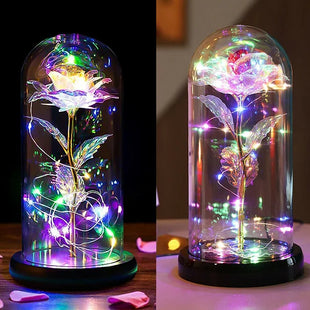 Mother Day LED Light-Up Eternal Forever Rose Gift