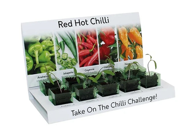 Hot Chilli Grow Your Own Kit