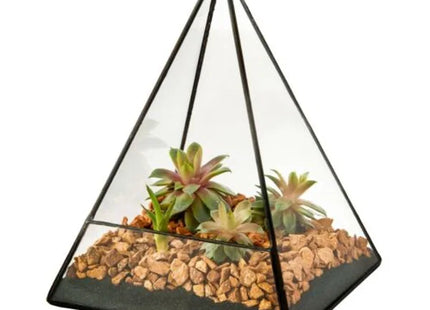 Triangle Glass Geometric Succulent Terrarium