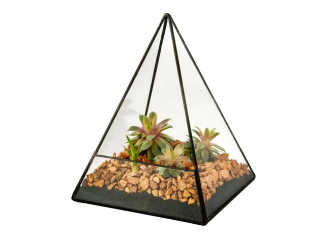 Triangle Glass Geometric Succulent Terrarium