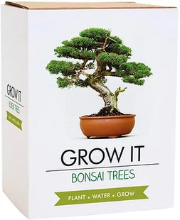 Grow It - Bonsai Tree