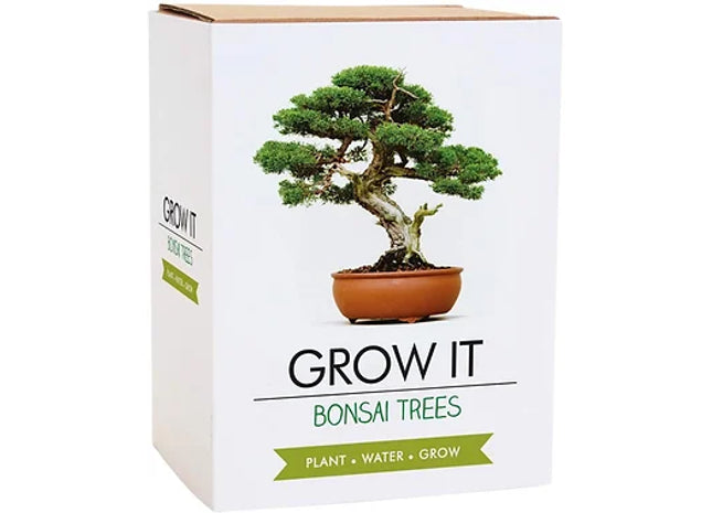 Grow It - Bonsai Tree