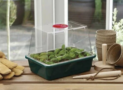 4 x Mini Windowsill Propagators