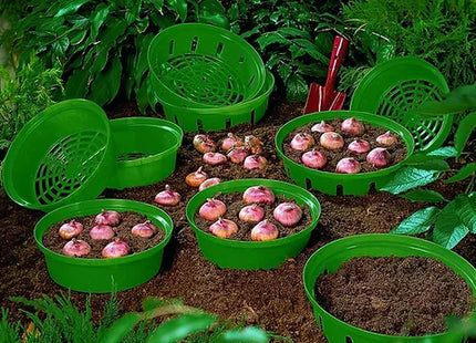 Bulb Planting Baskets