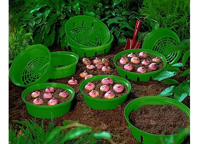Bulb Planting Baskets