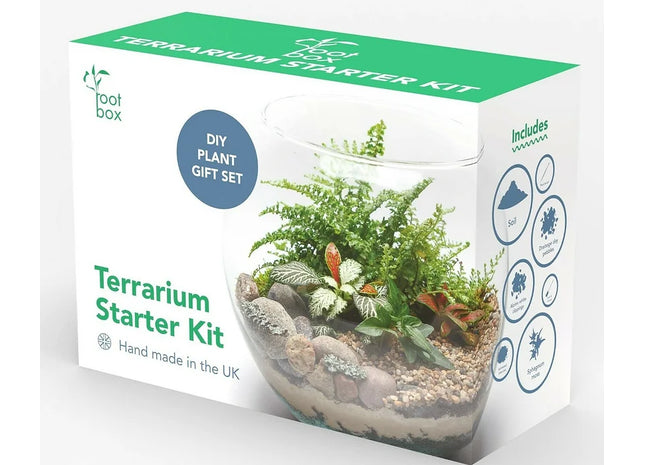 Terrarium Kit