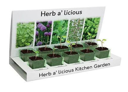 Herbs-a-licious Grow Your Own kit