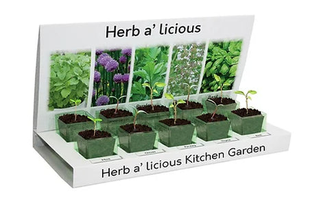 Herbs-a-licious Grow Your Own kit