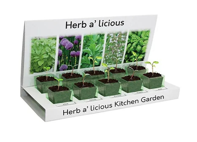 Herbs-a-licious Grow Your Own kit