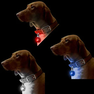 Dog Pet Collar Pendant