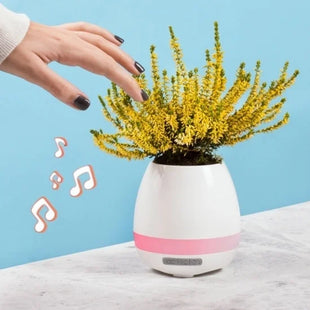 Plant Pot Speaker