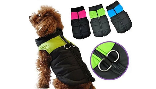 Thermal Waterproof Winter Dog Jacket