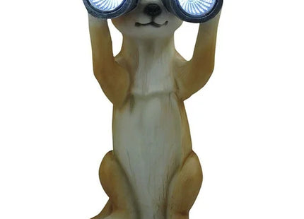 Solar Meerkat With Binoculars